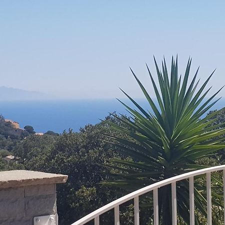Bas De Villa Chez Mr.Girolami Dominique 바스티아 외부 사진